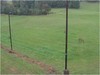 p20100926_154937_3000