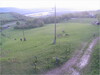 p20230426_034815_3000-szarvasok
