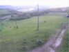 p20230426_034915_3000-szarvasok