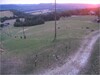 p20230721_031116_3000-vaddisznok