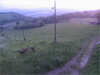 p20240504_030634_3000-szarvasok