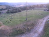 p20240731_031504_3000-vaddisznok